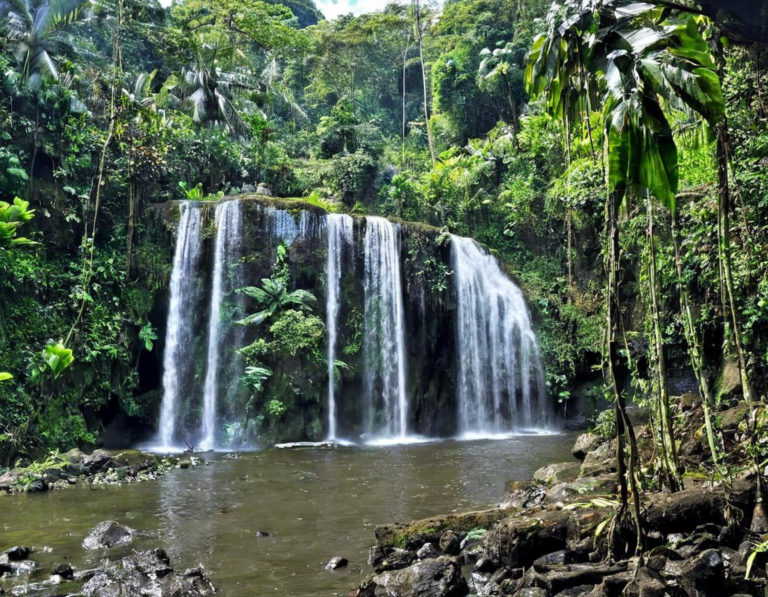 1. Curug Bidadari: Keindahan Tersembunyi di Tengah Hutan