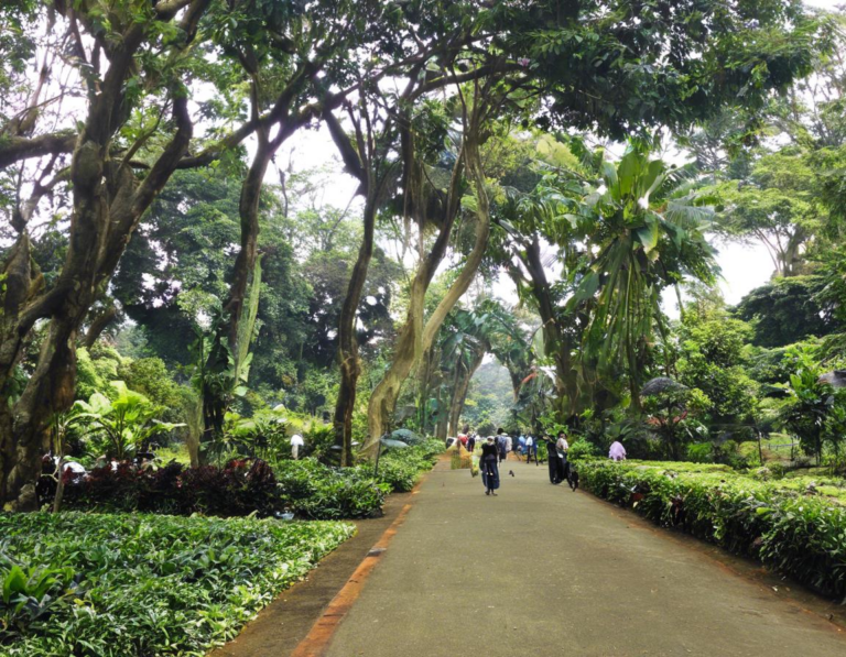 1. Kebun Raya Bogor: Keindahan Flora dan Fauna