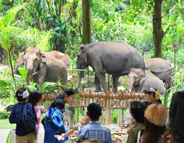 2. Promo dan Diskon Harga Tiket Taman Safari Bogor