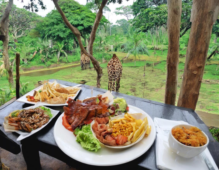 2.  Taman Safari Indonesia - Makan Siang Sambil Menyaksikan Satwa Liar