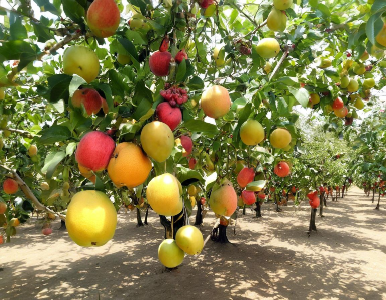 Aktivitas Menarik di Taman Buah Mekarsari