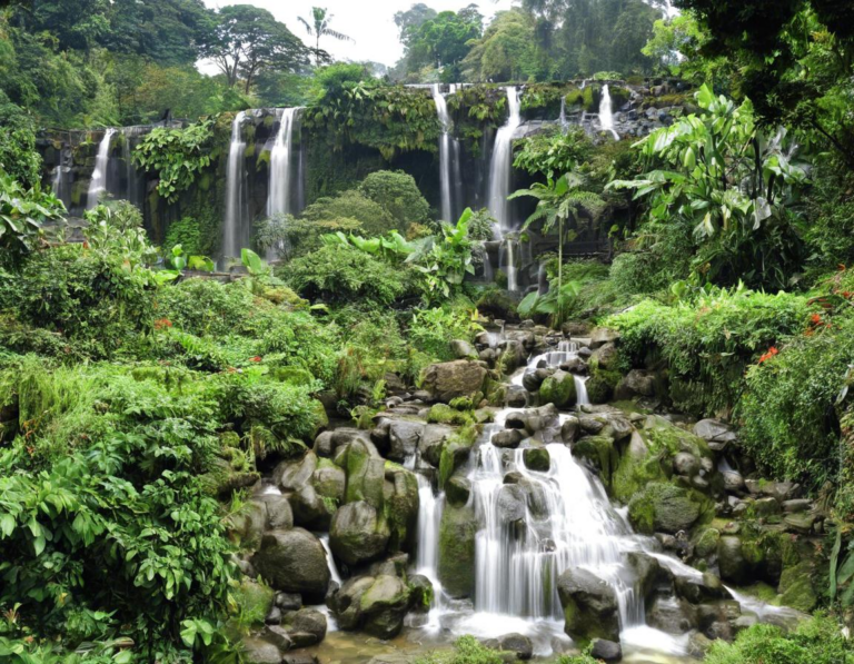 Destinasi Wisata Menarik di Bogor