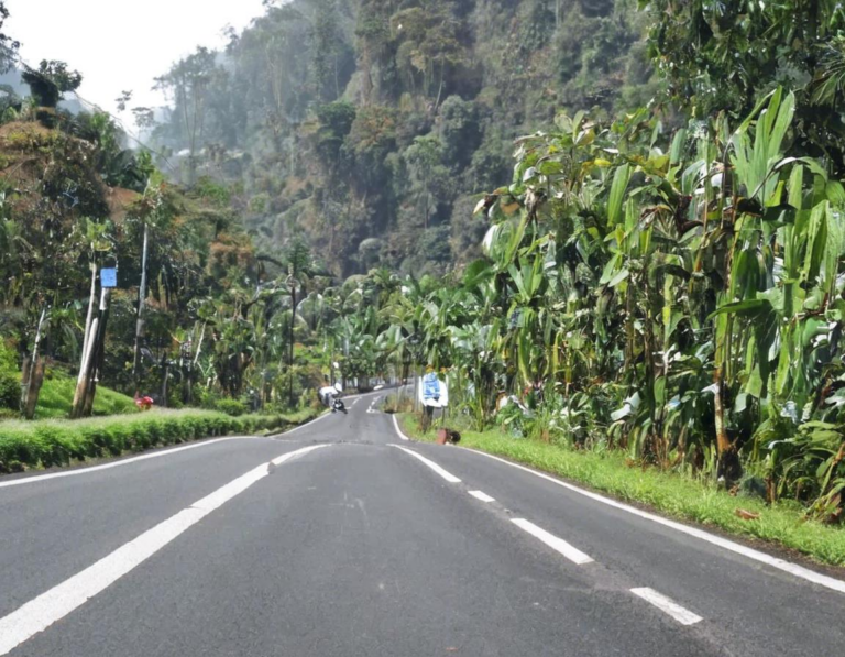 Jalur Utama Menuju Puncak Bogor