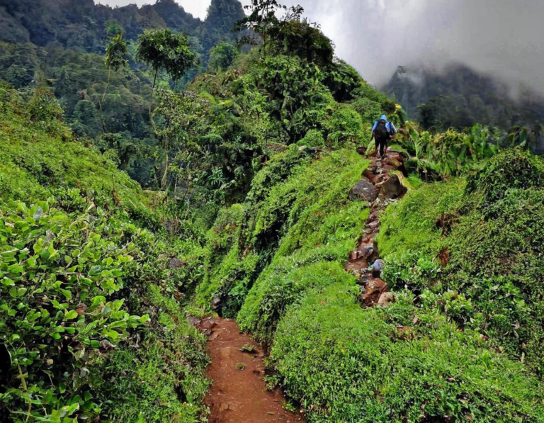 Rute Pendakian Gunung Salak dari Bogor