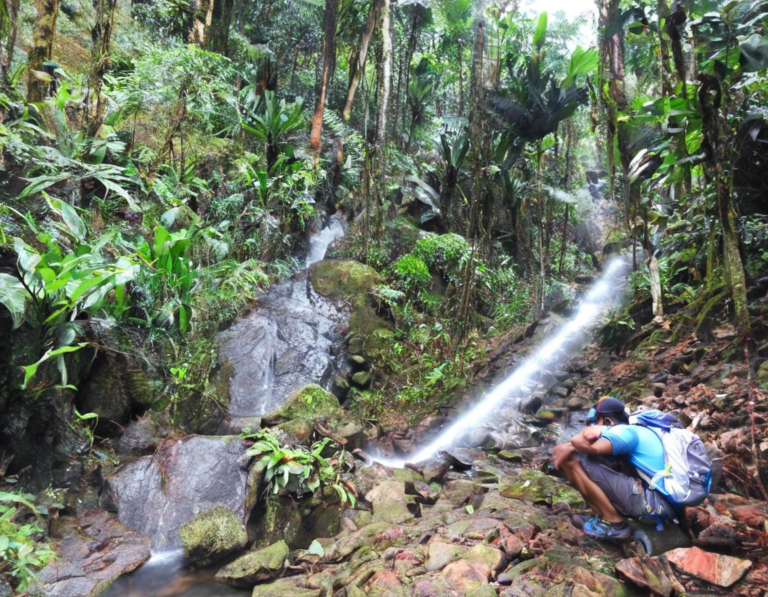 Tips Mendaki Gunung Salak