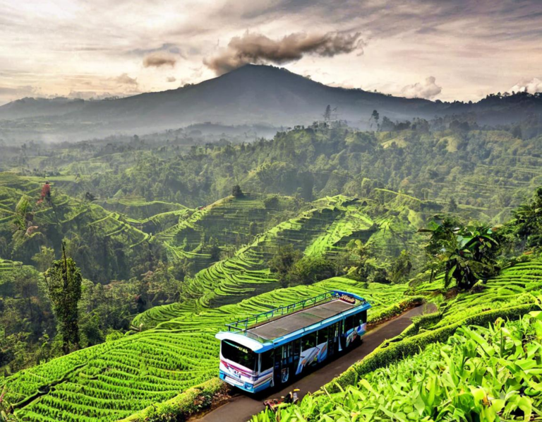 Transportasi Ekonomis ke Puncak Bogor