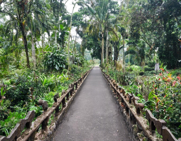 <strong>Rute Menuju Kebun Raya Bogor</strong>